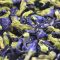 Blue Butterfly Pea Tea